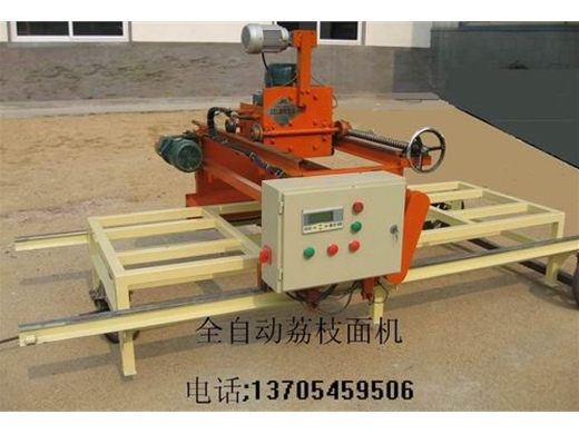 全自動荔枝面機